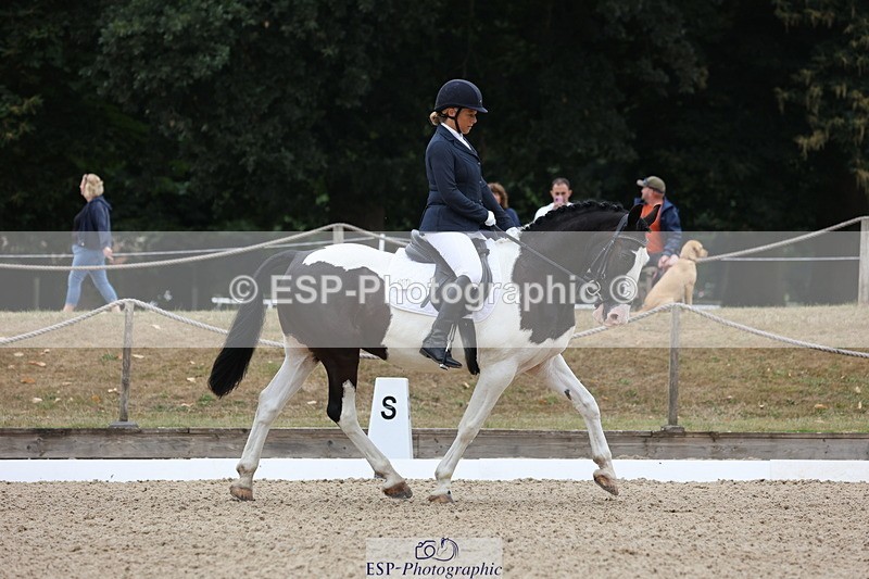 250718A-103243-00607 - 052-Lisa.Batty-George.XIV