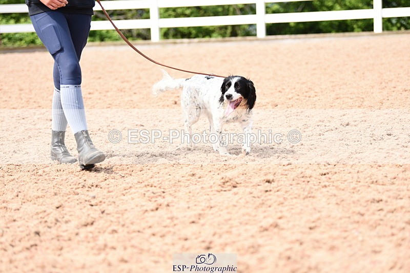 240518A-114946-00837 - Cls 2 Prettist Bitch