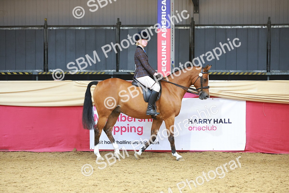 SBM_12399 - Class 103 - HOYS Veteran Qualifier - Ridden Pre Vet