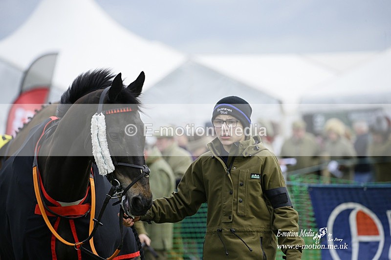 PtP 050322 529 - The Beaufort Races Didmarton 05/03/22