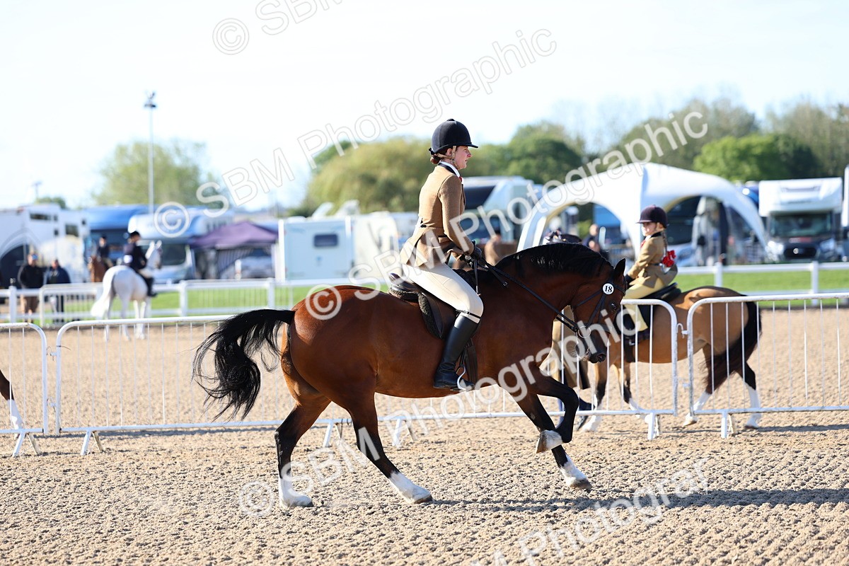SBM_08754 - Class 302 - Ridden M&M - Large Breeds
