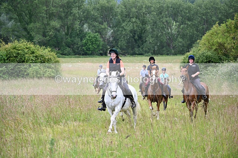 WJ6_8407 - Camera 1 Gallops