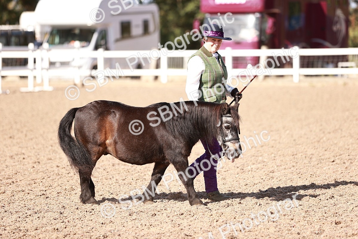 SBM_22753 - Class 705 - IH Combination 65+
