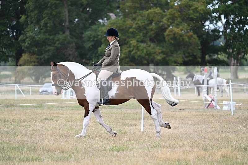 WJ7_5066 - Class 12 Ridden Cob