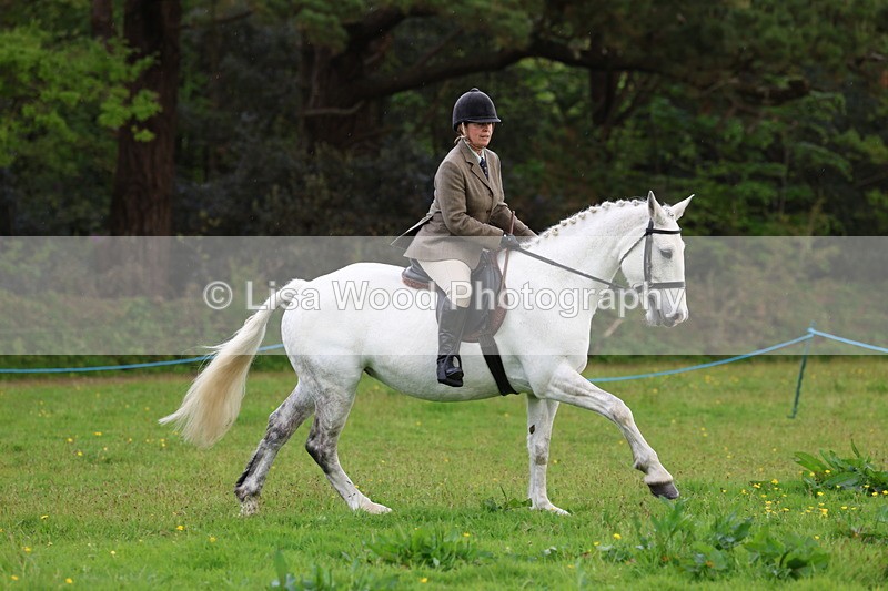 3E7A2578 - Classes 30 and 31: 80cm Working Hunter