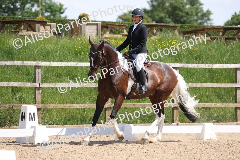 20250520-0831 - Class 5 - Novice 2