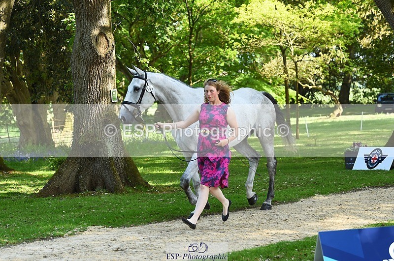 230524-162618-00867 - 102-BANDITO_VAN_POLDERZICHT-Grace_Taylor-WEDTrotUp+DR
