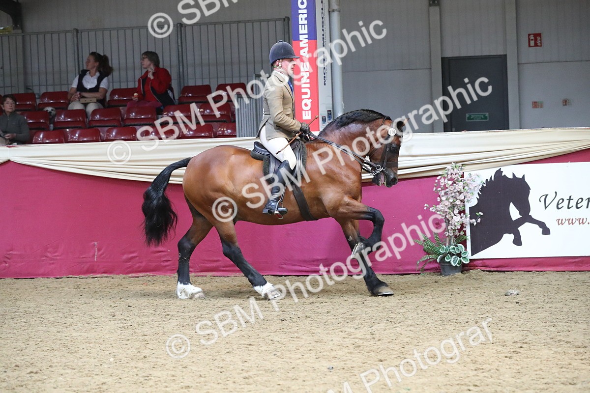 SBM_16332 - Class 502 M&M Ridden Supreme Final