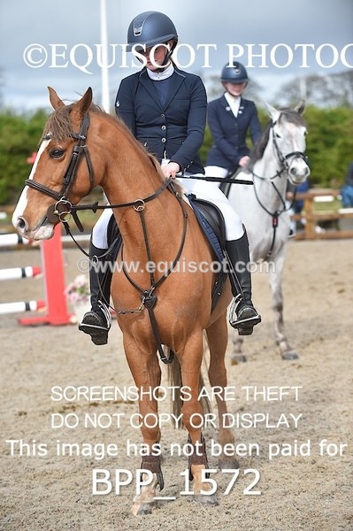 BPP_1572 - CLASS 7 Pony Discovery / 90cm Open