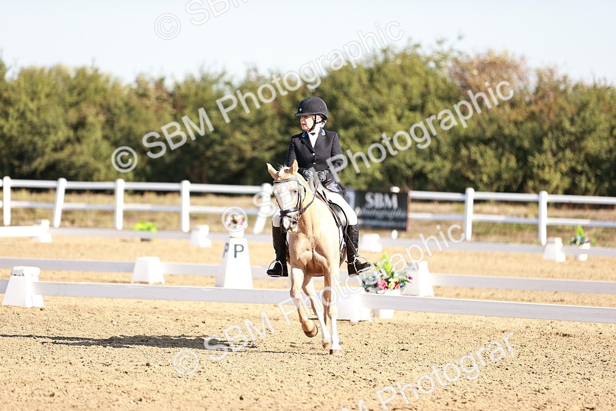 SBM_004346 - Class 12 - Novice 5 - 9.07-10.10