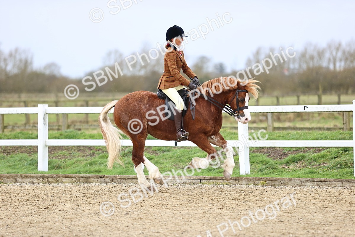 SBM_008210 - Class 33-34 - M&M Open Ridden Small-Large