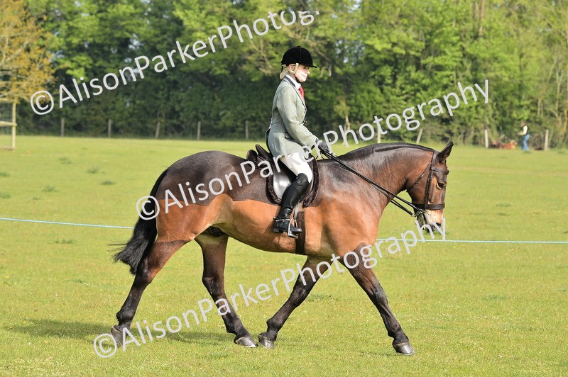 20260426-0880 - Class 18 - Novice Showing