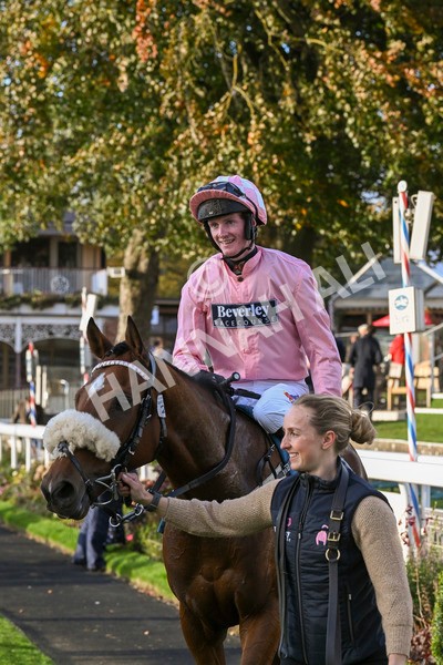 111024-Race 7-On The River-2312 - Race 7 4.55pm Ire Incentive, It Pays To Buy Irish Apprentice Handicap