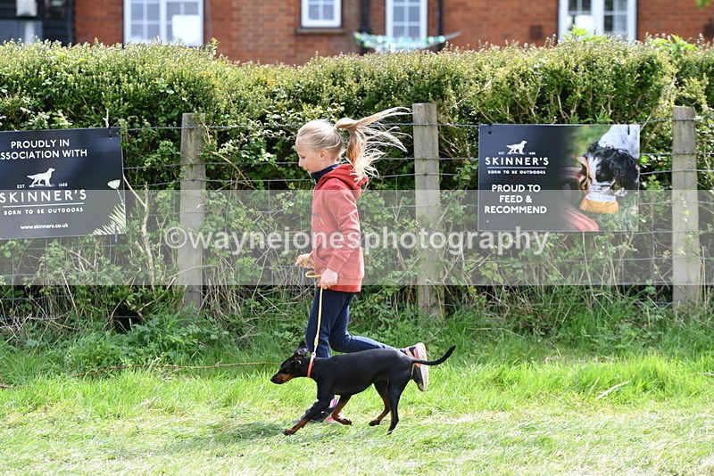 WJ5_0615 - Class 7 Best Terrier