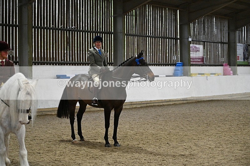 WJ7_4336 - Class 17 Ridden Cob