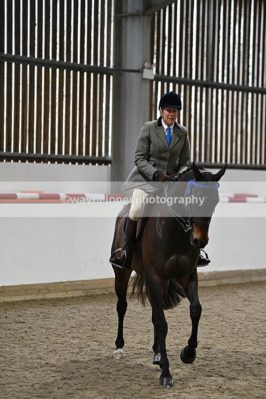 WJ7_4288 - Class 17 Ridden Cob