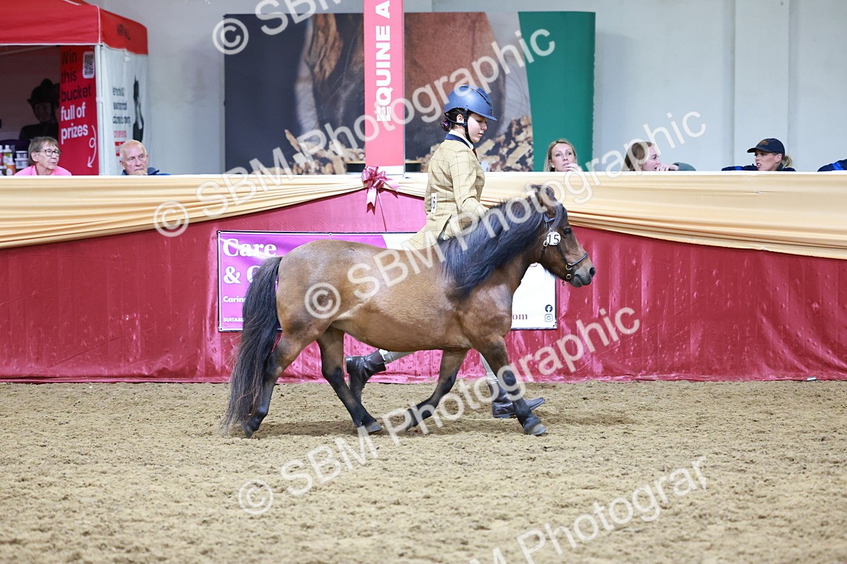 SBM_20009 - Class B - Junior Champ 11yr to 16 Years