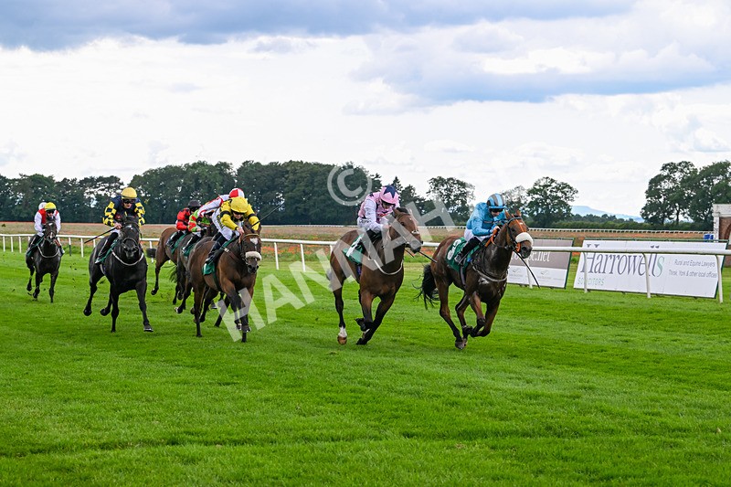 170724-Race 3-Ingleby Archie-9950 - Race 3