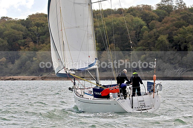 201010 TAMARIN GBR8399T 1Y3A9346_Edit - 201010 TAMARIN GBR8399T