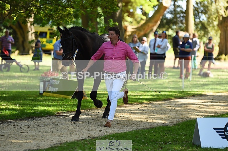 230524-154756-00507 - 363-RLE_KHALEESI_C-Christopher_Wincer-WEDTrotUp+DR
