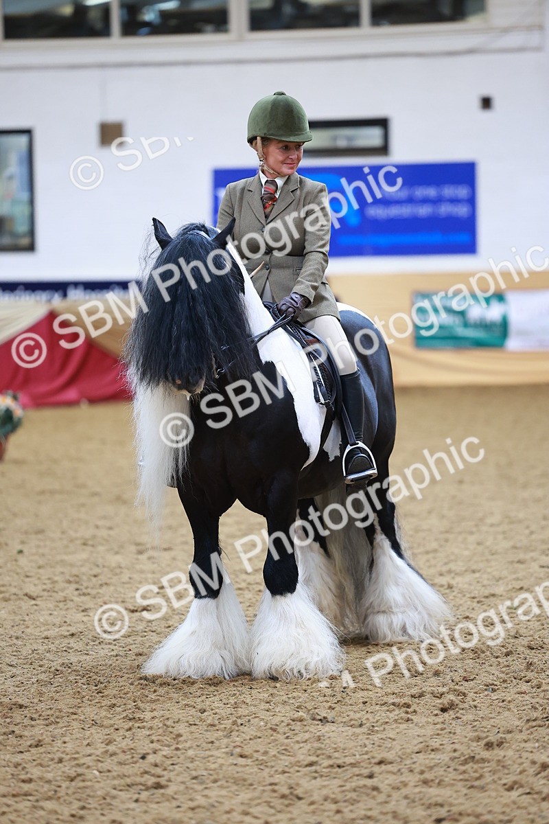 SBM_06257 - Class 12R - Ridden Pre-Vet