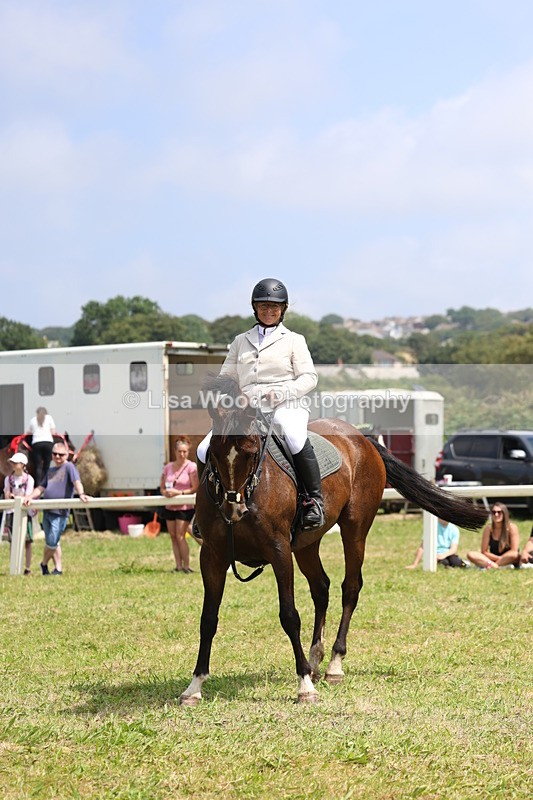 3E7A3016 - Class 7: Senior British Novice/90cm open