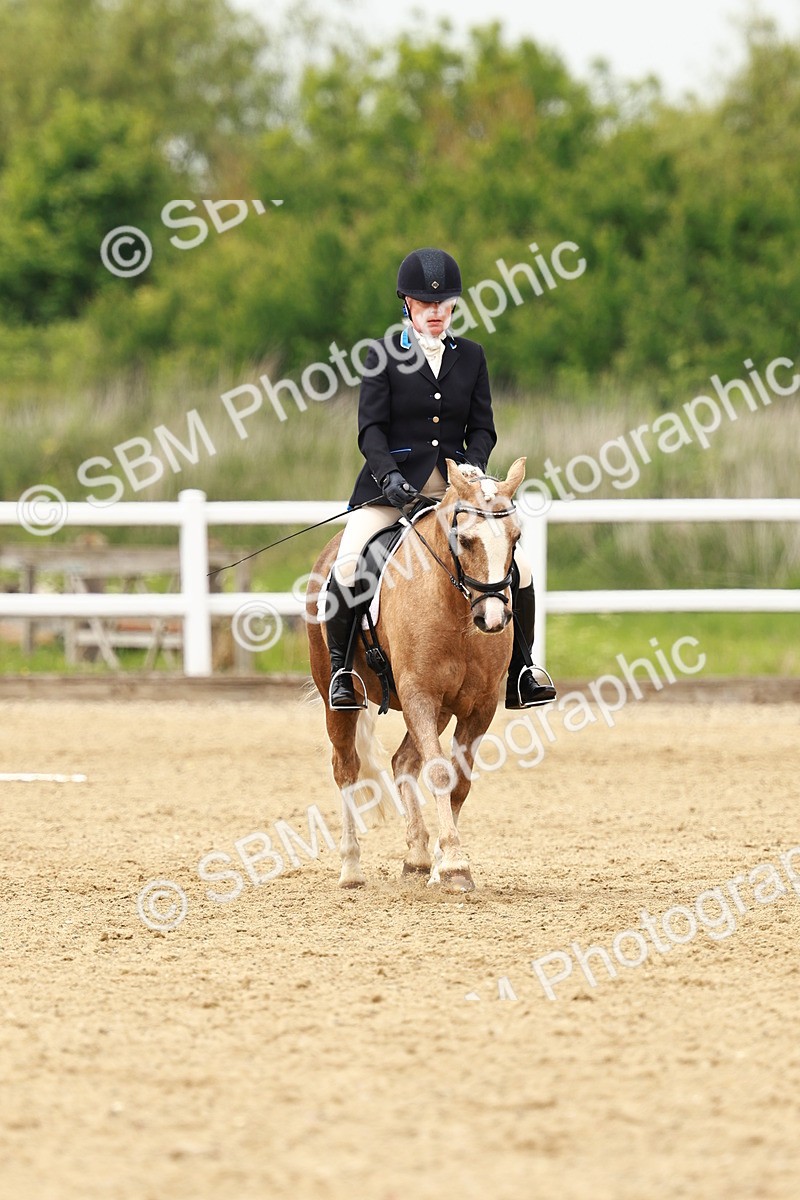 SBM_001785 - Class 7 - Novice 5