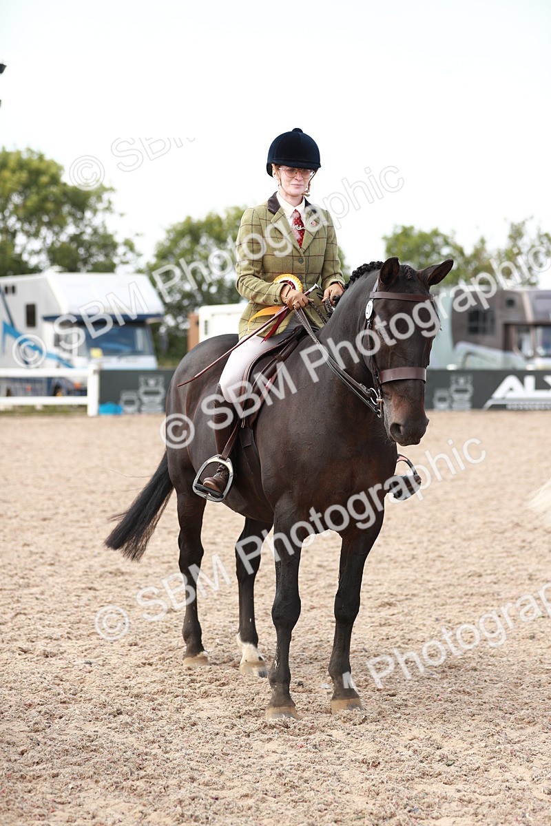 SBM_14923 - Class 212 Ridden Hunter - Small