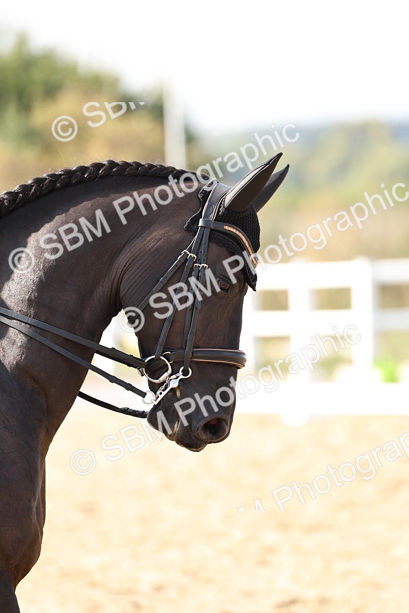 SBM_015402 - Class 9 - Advanced medium 3