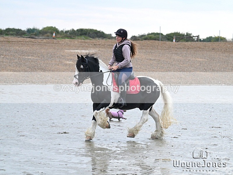 WJ7_8802 - Hayling Island Beach Shoot 22-09-24