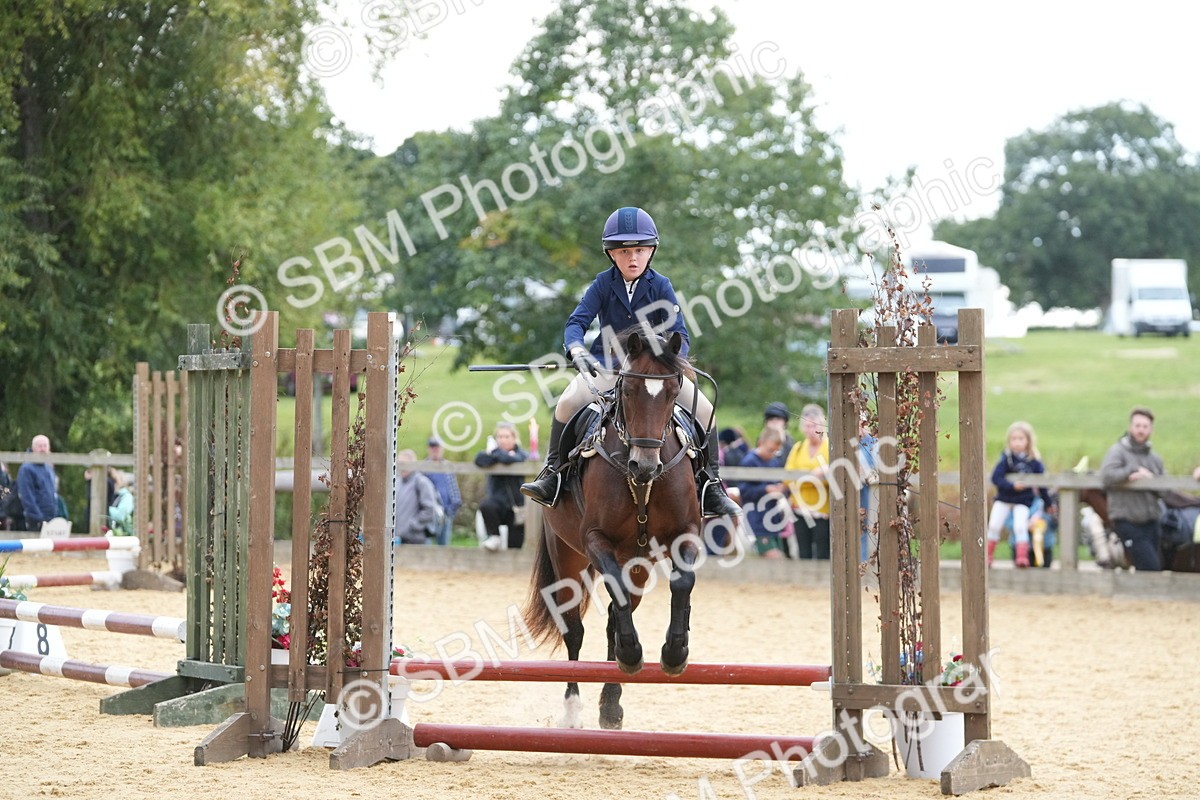 SBM_74641 - J4 - Mini Tour Junior Pony 45cm Championship