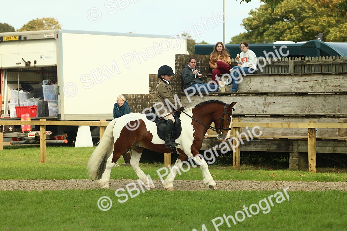 SBM_68185 - S58 - Mini Show Cob Ridden