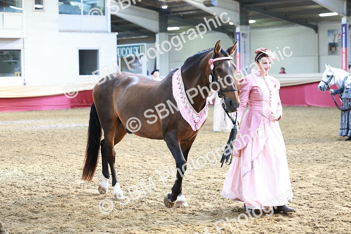 SBM_12080 - Class 103 - IH Costume