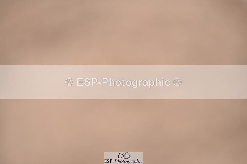 230810A-093036-00088 - Cls 8 British Novice & 90cm Open