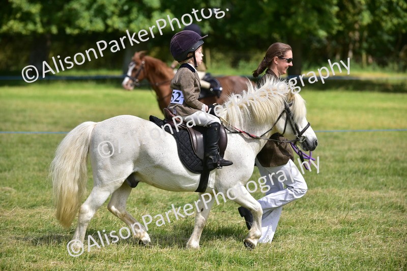20260614-1151 - Class 11a - Lead Rein Pony (Unplaited)