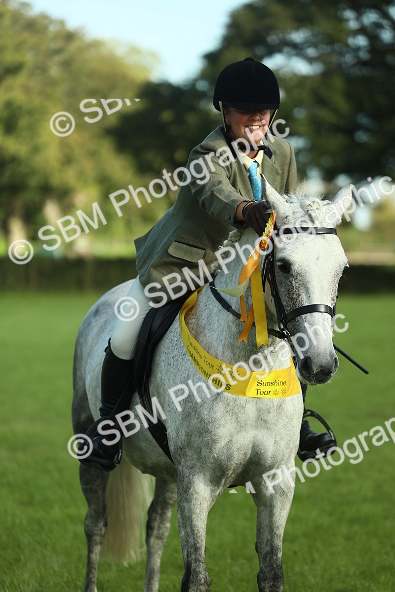 SBM_49921 - S32 - Novice & Newcomers Working Hunter