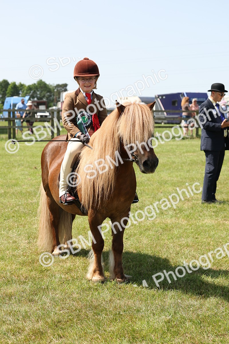 SBM_05360 - Class 24-25 - Mountain & Moorland In Hand Lead Rein and First Ridden
