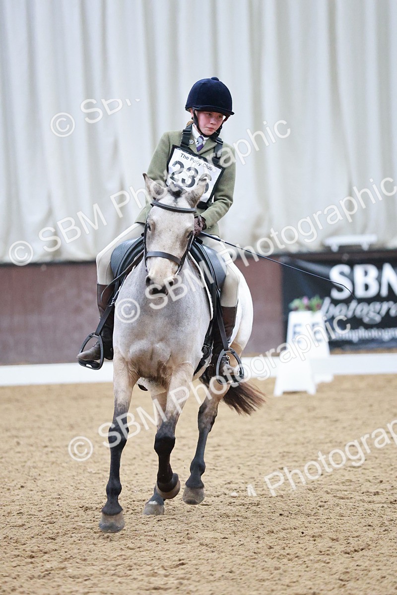 SBM_003783 - Class 2 - Novice 2020