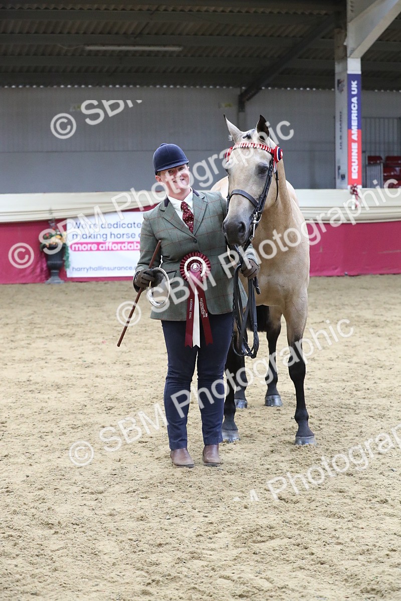 SBM_05040 - Class 8R- Regional -IH Veteran