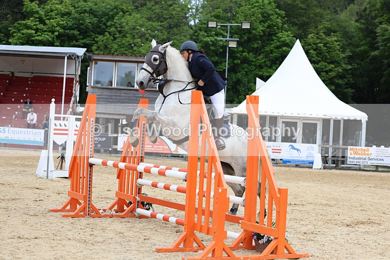 3E7A8535 - Class 4: Senior British Novice/90cm open