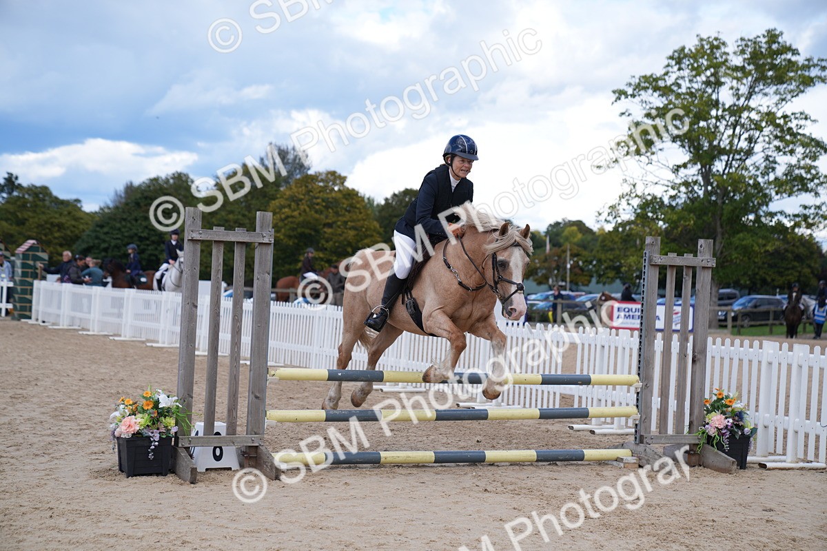 SBM_08498 - J56 Clear Round 70cm