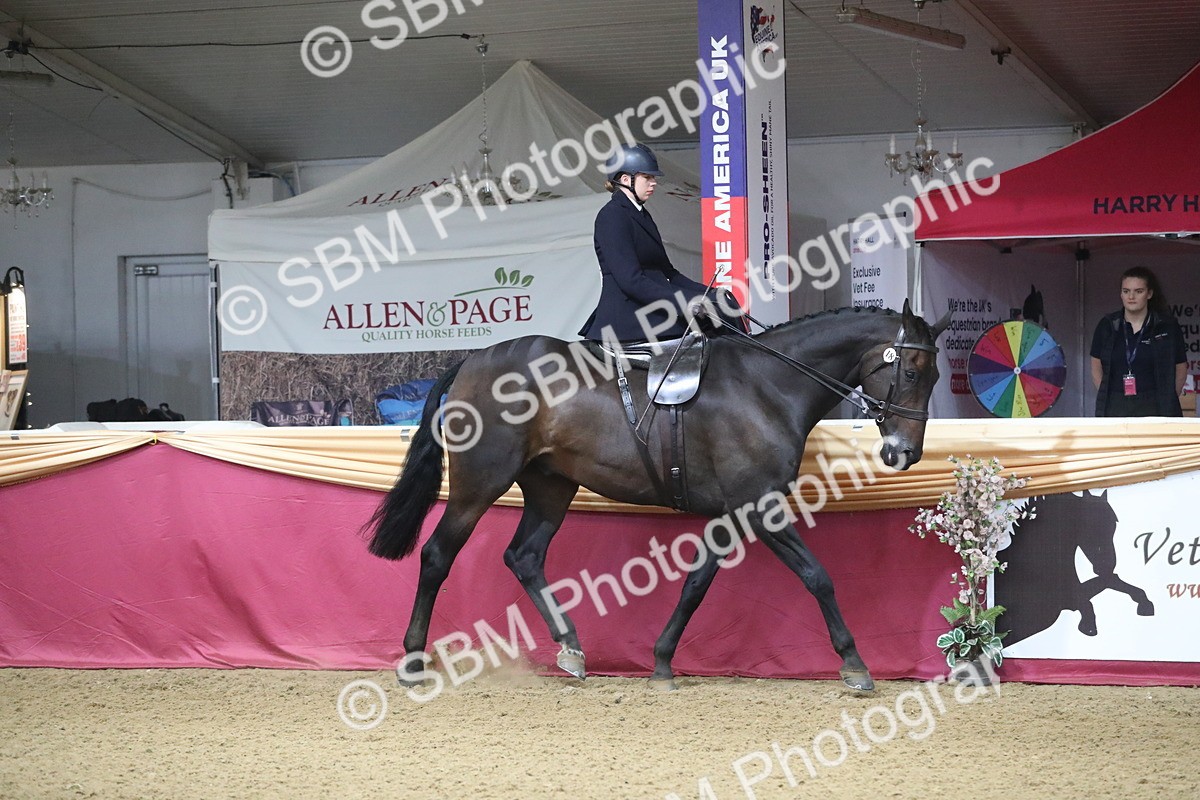 SBM_10308 - Class 102 Equitation (best rider) Adult