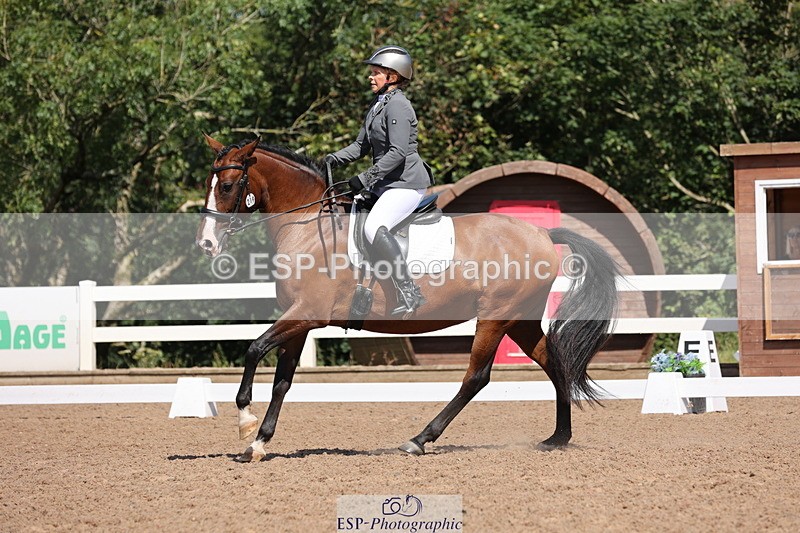 240816A-115934-04328 - 219-Sarah.Baldwin-Ervilha.Dos.Leitoes