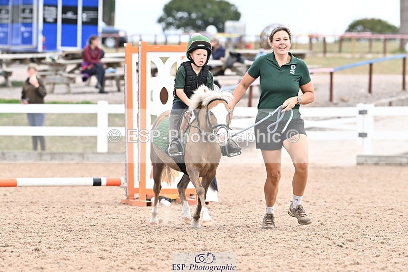 250821B-121227-00338 - Group D - Thomasina