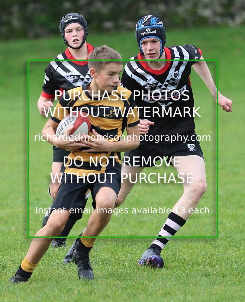 IMG_6317 - Workington Zebras Rugby (8/10/23)