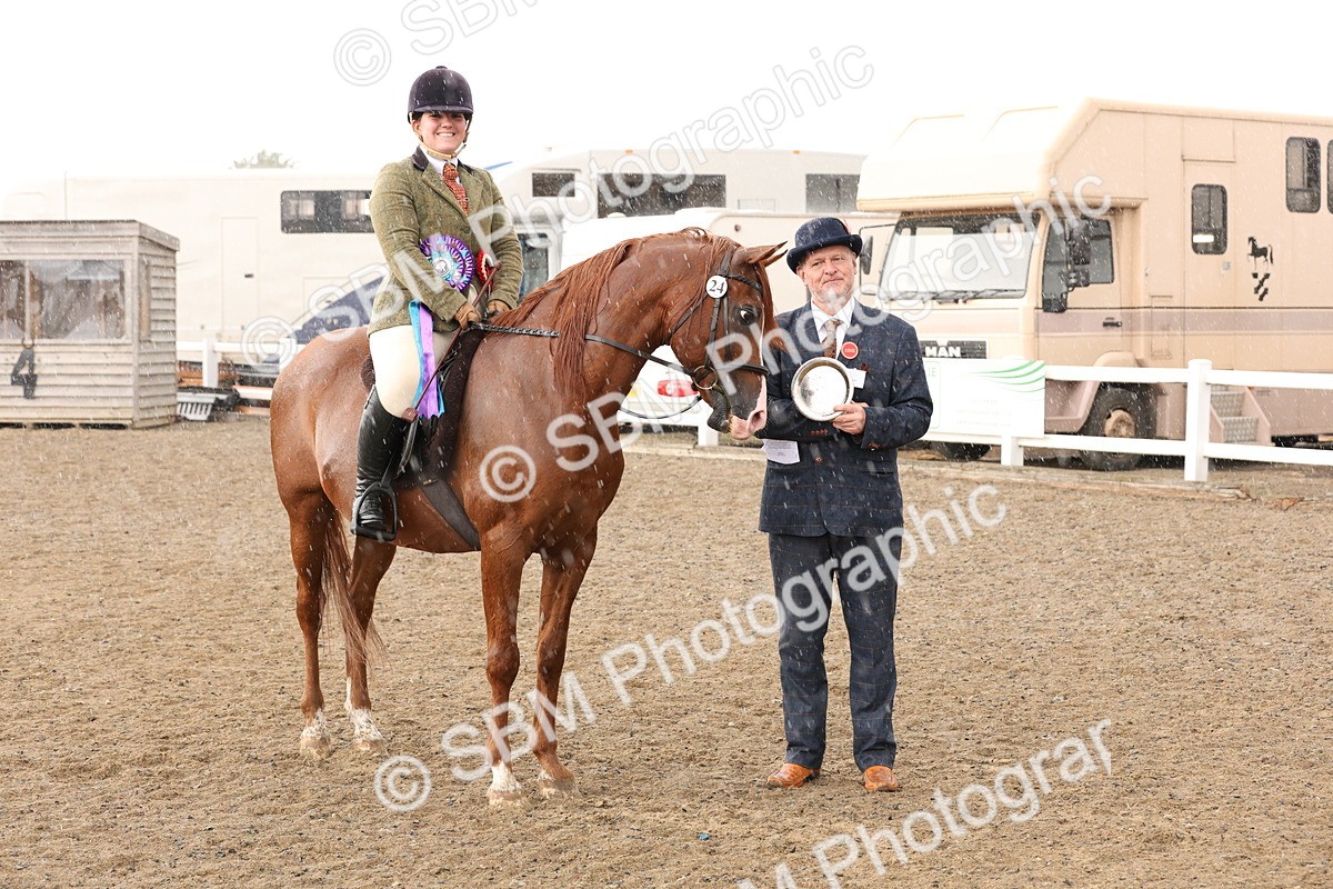 SBM_07598 - Class 59b -  Style & Performance - 80cm (20+)