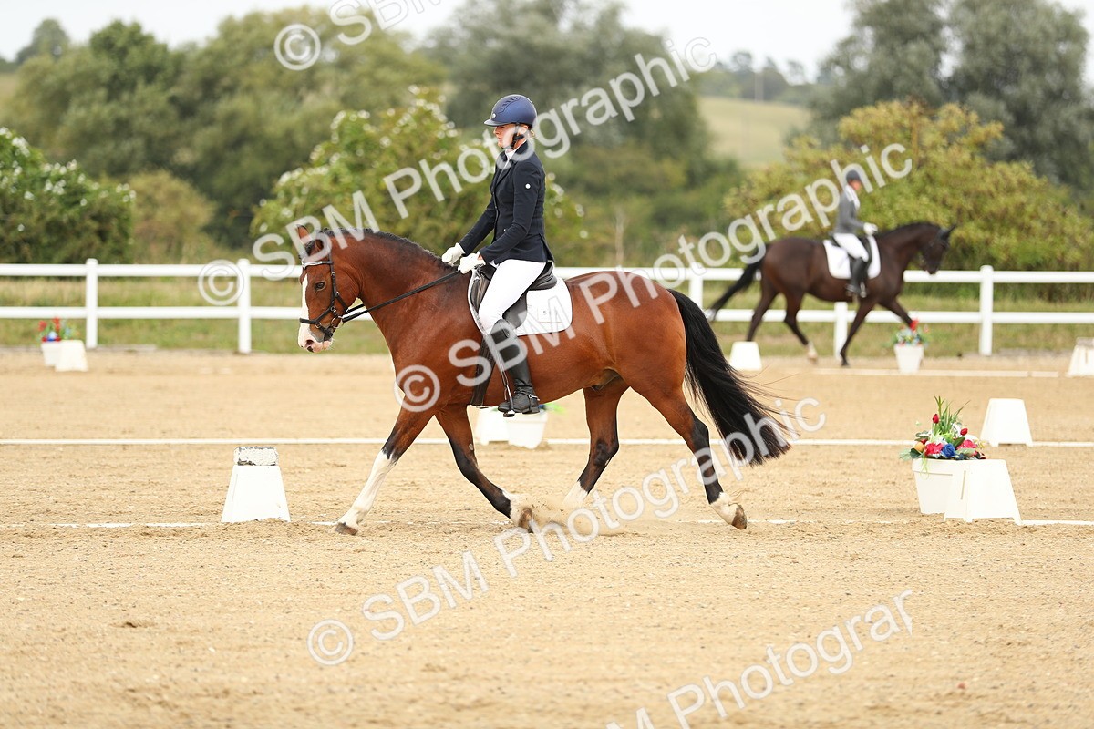 SBM_017642 - Class 13 - Novice 23 - 14.27-15.16