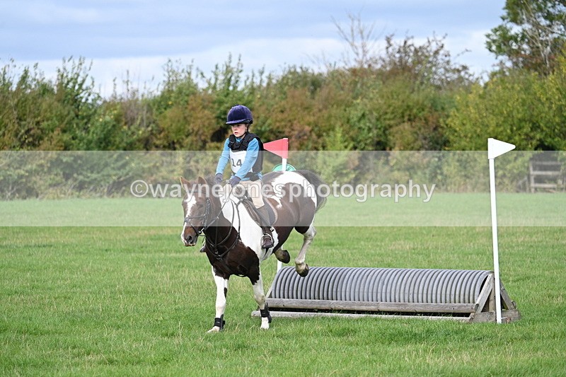 WJ7_8406 - 60cm Pairs