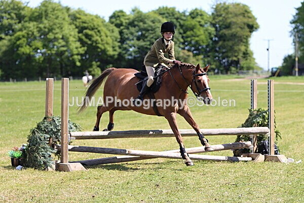 IMG_3618 - Working Hunter