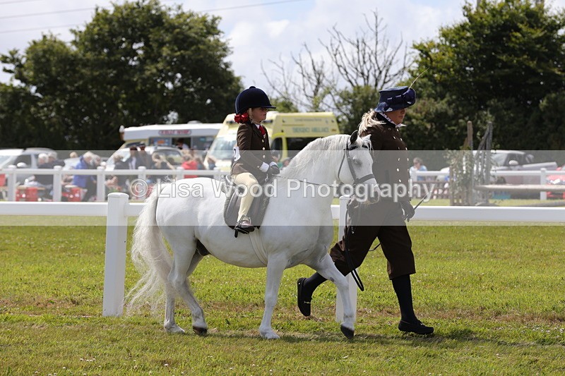 1X9A5065 - Class 36: NPS M&M Lead Rein